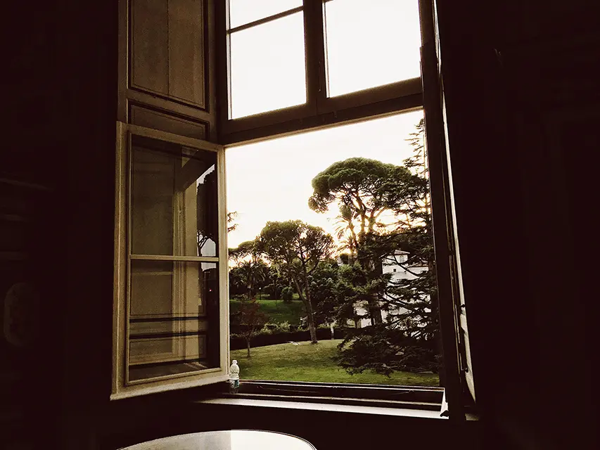 Window opened to a meadow, evening time. The sun is set.