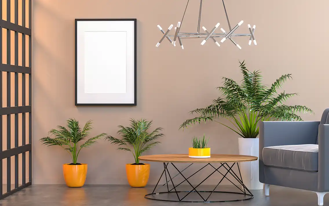 Navigating Natural and Artificial Light